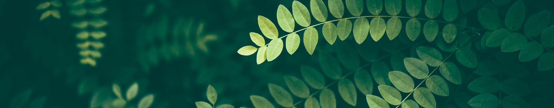 ����ǽ��̬�����������޹�˾����ͼ