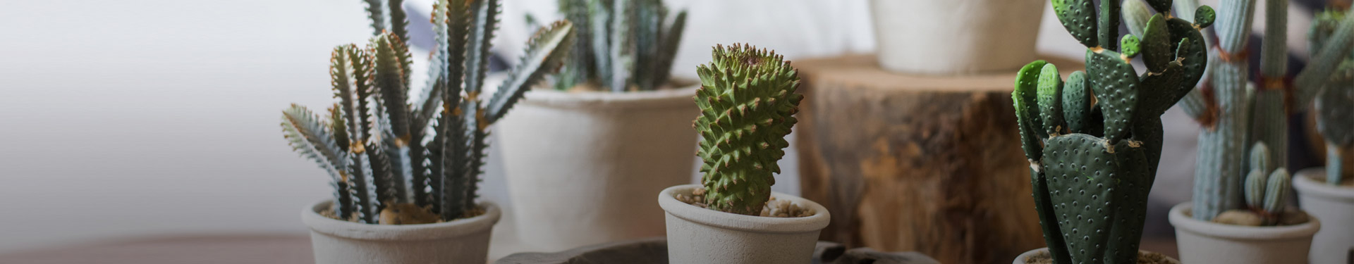 ��ݸ�����߹������޹�˾����ͼ